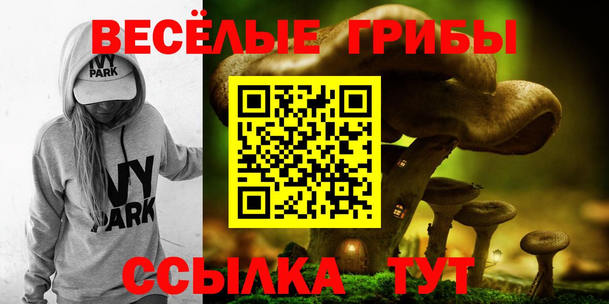 Псилоцибиновые грибы ЛСД Миллерово